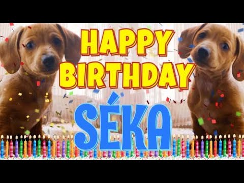 Happy Birthday Séka! ( Funny Talking Dogs ) What Is Free On My Birthday
