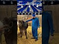 Maveshi Mandi Se Hafiztahirqadri Viral Shortsvideo Viralshorts Qurbani