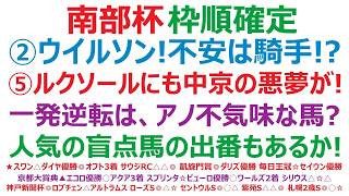 【マイルチャンピオンシップ南部杯2026】枠順確定　②ウイルソンテソーロ！不安は騎手か！？⑤ルクソールカフェにも、中京で大敗の悪夢が！一発逆転があれば、アノ不気味極まりない馬？人気の盲点馬の出番も！