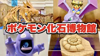 ポケモン化石博物館に行ってみた！展示の紹介と感想だにゃ〜【Pokémon Fossil Museum 2022 @Tokyo Japan 国立科学博物館】