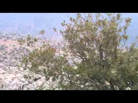 اشتباكات بين عناصر لواء أحرار الجبل الوسطاني وقوات النظام في الجبل الوسطاني