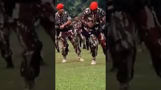 Download lagu joget kuda laka loli mp3 Download lagu joget kuda laka loli mp3