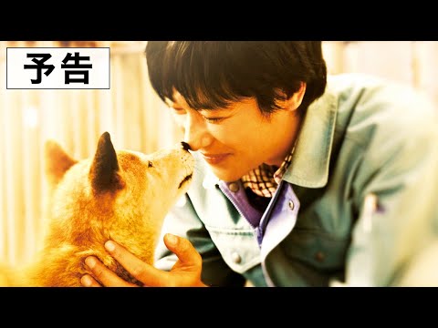 『ひまわりと子犬の７日間』予告編