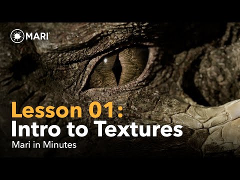 Mari in Minutes | Lesson 1: Introduction to textures