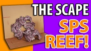 SPS Reef Build - Rock Aquascape!