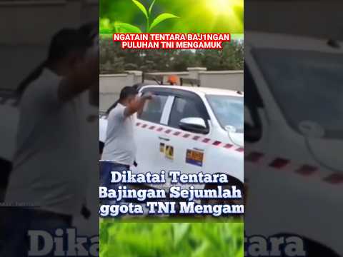 ngatain TNI baj*nga4n, TNI langsung samperin #news #komando #tni #tnidihatirakyat #tniad #abdinegara