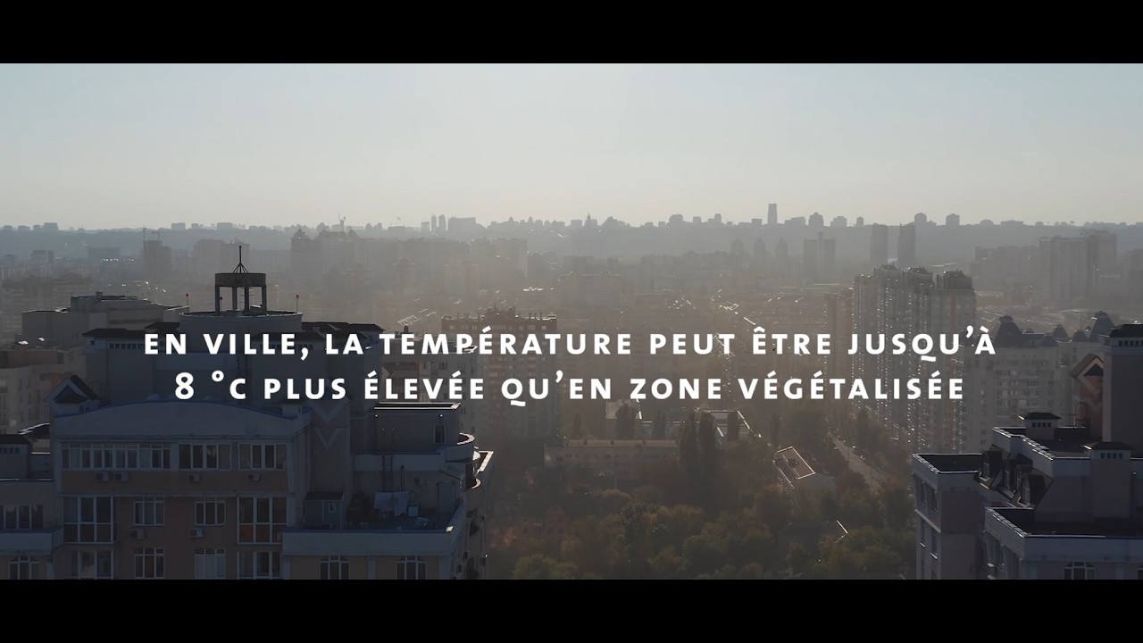 Miniature vidéo : IDVERDE