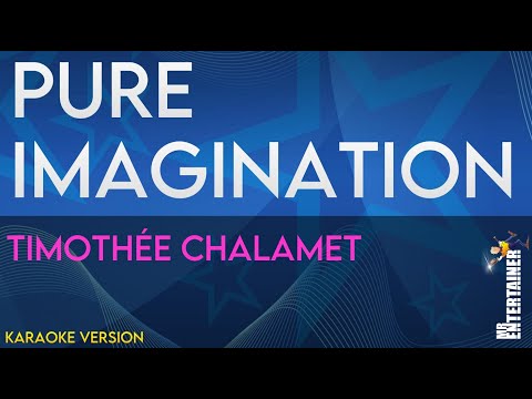 Pure Imagination - Timothée Chalamet (KARAOKE)