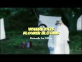Where This Flower Blooms By Tyler The Creator But It Will Make You Feel Peaceful