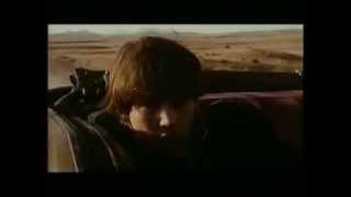 [請益] 強尼戴普有什麼有趣但名氣/票房不太好的