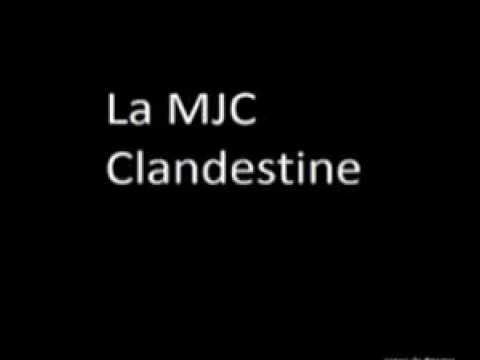 MJC Clandestine - Abricot