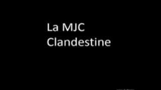 MJC Clandestine - Abricot