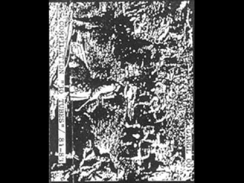 MKB FRAKTION PROVISOIRE - fights in technonights.wmv