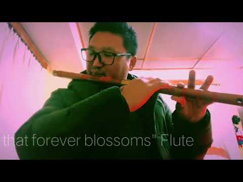 Lotus that Forever Blossoms" - Flute By Karma Yenten (🇧🇹Bhutan).