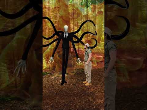 What to do if you get lost in the woods 