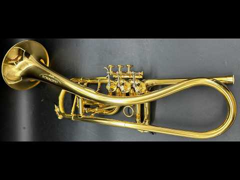 Schagerl Ganschhorn  S/n 9659 GOLD PLATE