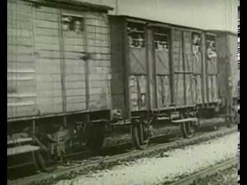 Pío XII a favor de las víctimas y gran servidor por la paz