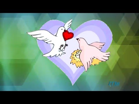 JUANITA BURBANO   " PALOMITA ERRANTE "