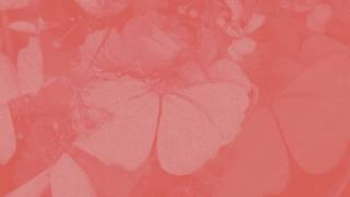 Video Vacancy (Audio) de Aisha Badru