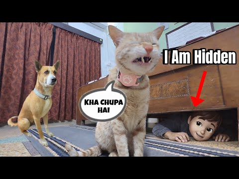 Hidden Under Bed 🥶 | Kya Pluto Dhund Payega 🙌🏻