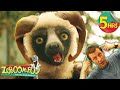 5 Hours Of Zoboomafoo Lids Movies For Kids