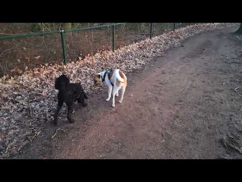 Zaterdagochtend 1-2-2025