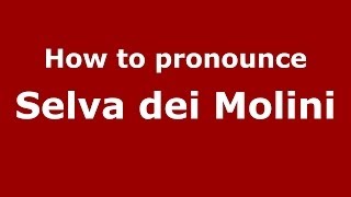 How to pronounce Selva Dei Molini
