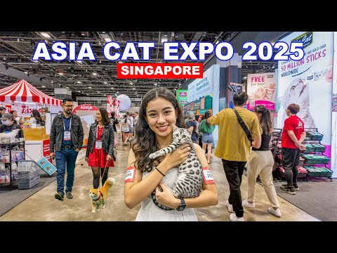 🐈 Asia Cat Expo 2025 | Singapore Biggest Cat Lovers Paradise at Suntec City😍👍