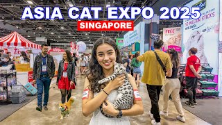 Download the video "🐈 Asia Cat Expo 2025 | Singapore Biggest Cat Lovers Paradise at Suntec City😍👍"