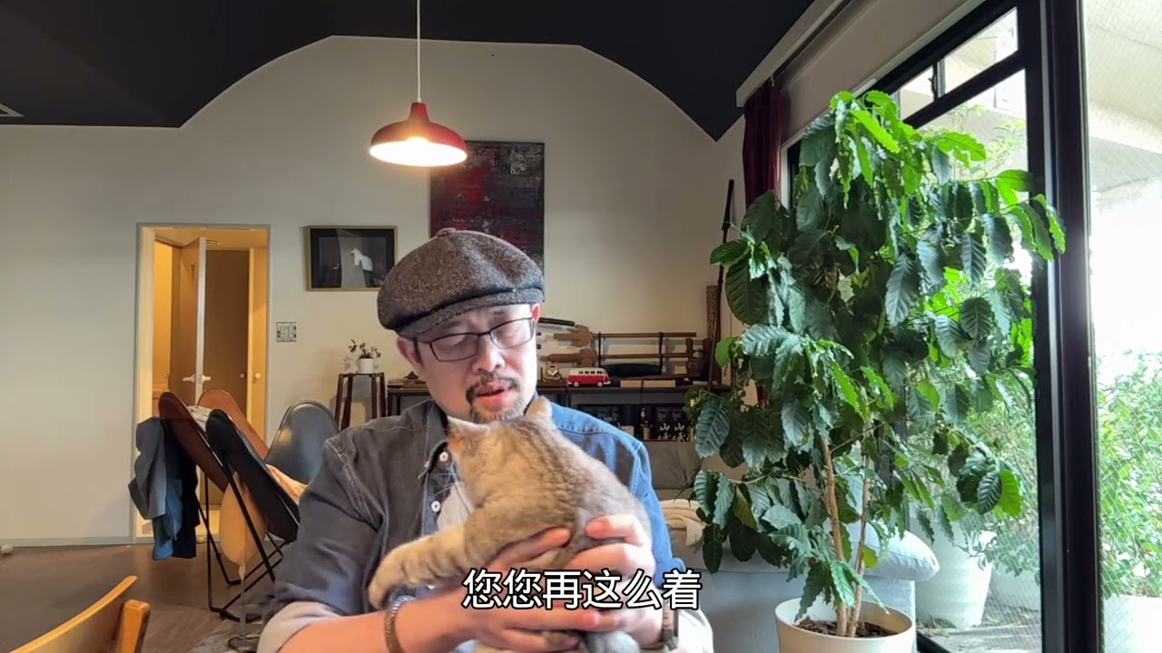 圣上再次助选国民党：国民党真是奇葩，每一次都被中共坑，每一次都不长记性，这种路径依赖特别M｜郑丽文｜习近平｜韩国瑜｜国共合作｜连战｜马英九｜