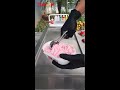 Vanilla Corn Ice Cream Rolls How To Make An Ice Cream Chinese Food Shorts IceCreamrolls