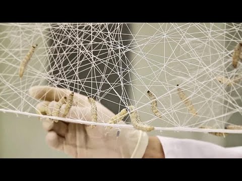 How Silk Is Made