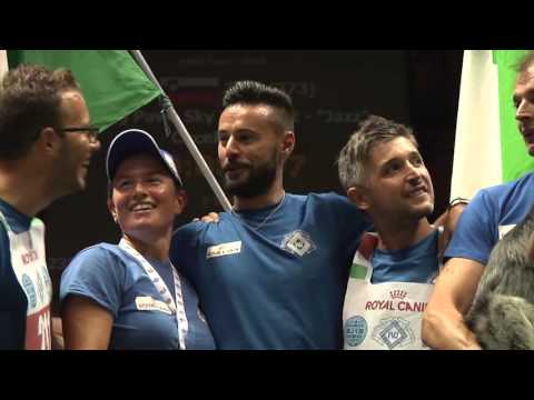 Agility World Championship 2015 - Highlights
