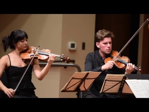 Hindemith - Clarinet Quintet / HD / 2015 Festival Mozaic