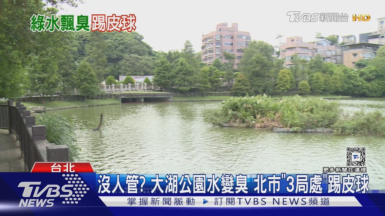 沒人管?大湖公園水變臭 北市「3局處」踢皮球
