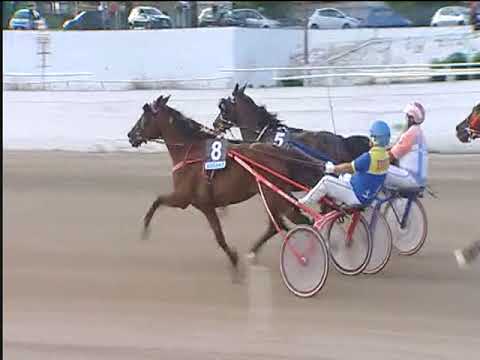 Trotto 23/06/2018 - 4ª corsa