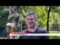 Kettingzaagkunstenaar Dave maakt kunstwerk van dode boom [RTV Utrecht]