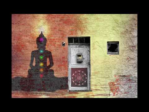 Metahuman - Lectroids From Planet Ten