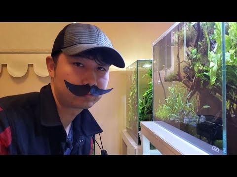 that one guy always at the pet store but never buys anything