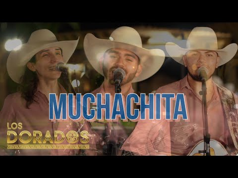 Los Dorados - Muchachita (En Vivo)