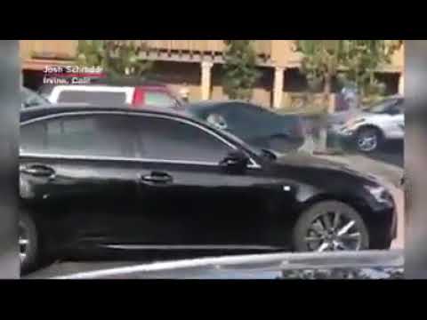 Mentally retarded driver