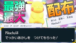 【最大証配布】今日もでっかい最強のピカチュウレイド配布するぞ！！！【ポケモンSV】