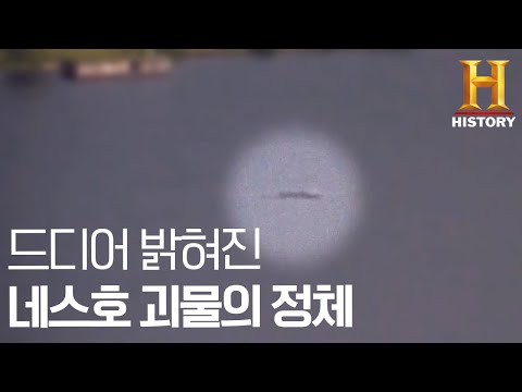 아이콘