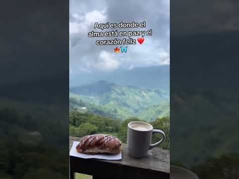 11 de agosto de 2025