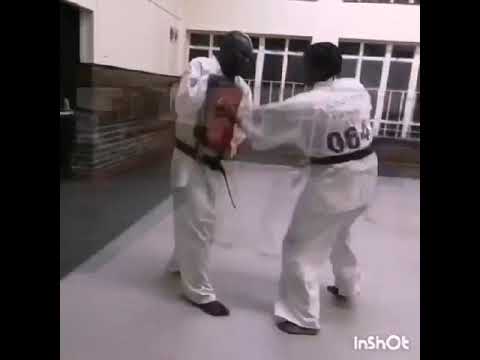 【新極真会】Ayanda Dlamini (South Africa)  THE 13TH WORLD KARATE CHAMPIONSHIP　SHINKYOKUSHINKAI KARATE