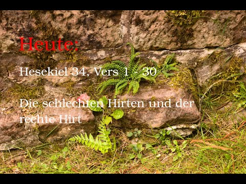 10.September: Hesekiel 34, Vers 1 bis 30: Die schlechten Hirten und der rechte Hirt