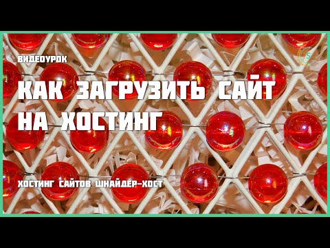 Видео Shneider host