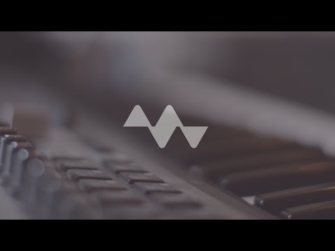 Mattijs Muller - California Pool Party