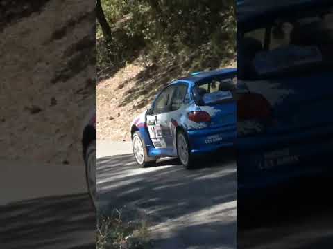 206 Maxi F214 #car #motorsport #race #racing #rally #sound #drift #flat #rallye #cars #peugeot #rail