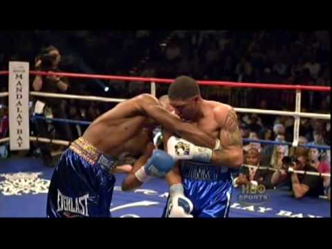 Ronald Winky Wright vs Paul Williams super punch!